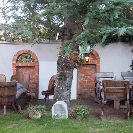 Red Clay Club Belgrado